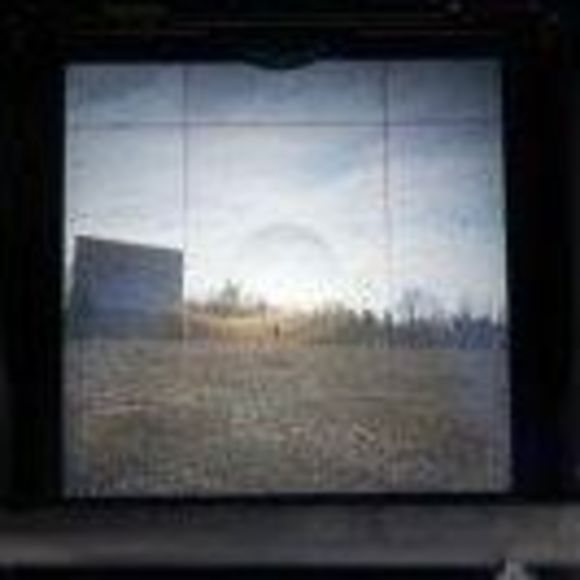 lilac_39